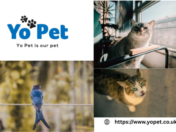 Buy Pet Keeper Plastic Tank Online Uk | Yopet.co.uk