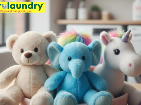 Safe, Sparkling Toy Cleaning in Bangalore for Busy Parents