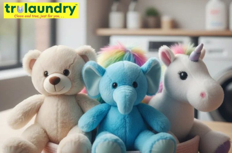 Safe, Sparkling Toy Cleaning in Bangalore for Busy Parents