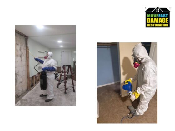 Effective Mold Removal in Parkville: Safe, Clean & Non-Invasive Solutions
