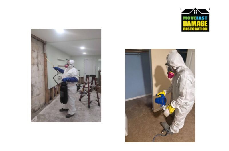 Effective Mold Removal in Parkville: Safe, Clean & Non-Invasive Solutions