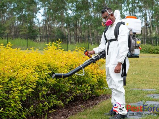 Effective Pest Solutions for Homes and Businesses in Calgary
