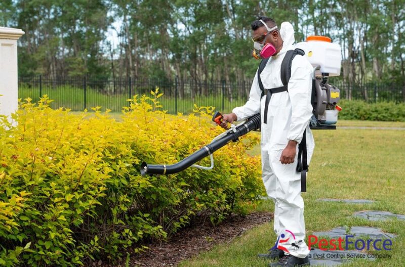 Effective Pest Solutions for Homes and Businesses in Calgary