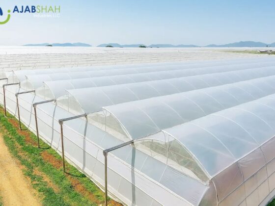 Top UAE Stretch Wrap Producers for Industrial Packaging