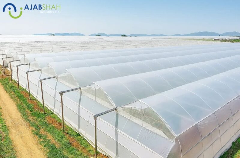 Top UAE Stretch Wrap Producers for Industrial Packaging