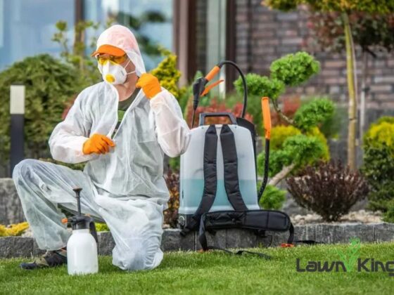 Tick Spraying Scarsdale: Safe, Effective Pest Control