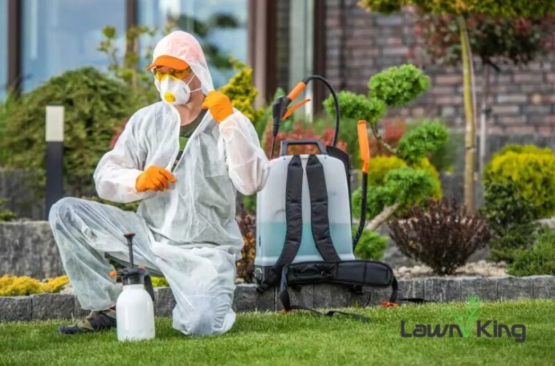 Tick Spraying Scarsdale: Safe, Effective Pest Control