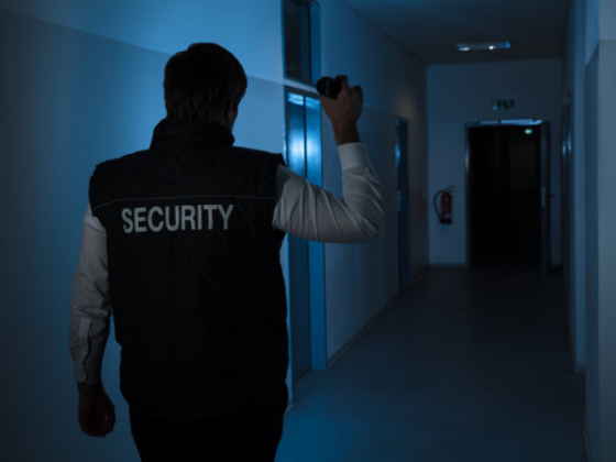 Guarding California: Mobile Security Patrols for Properties