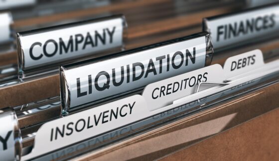 Effective Credit Control: Tools to Improve Cash Flow for Firms