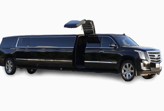 Luxurious stretch limousine experiences in Dubai for every occasion