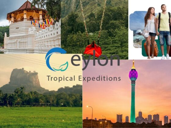 Discover Sri Lanka: Hidden Gems for Your Next Adventure