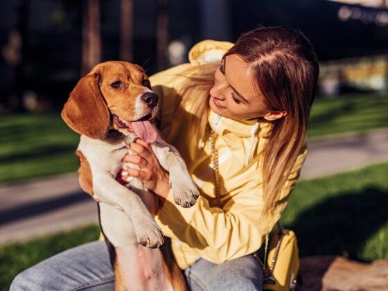 A Gentle Goodbye at Home: Compassionate Support for Calgary Pets