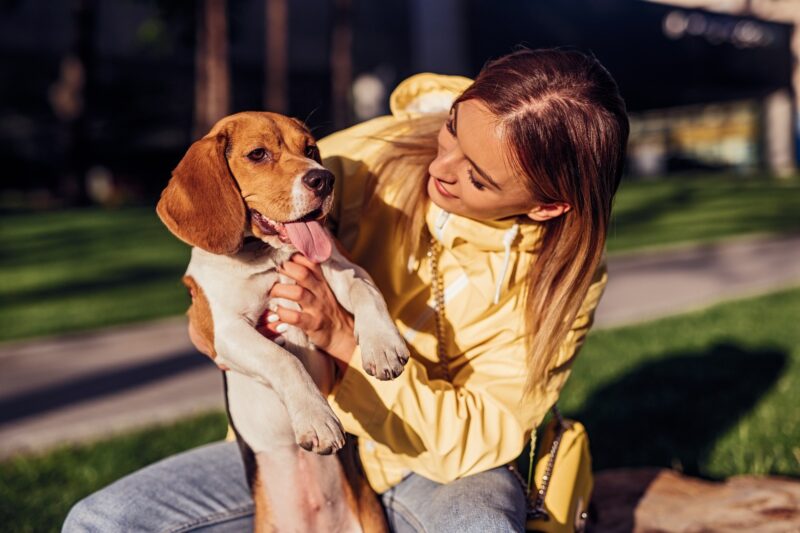 A Gentle Goodbye at Home: Compassionate Support for Calgary Pets