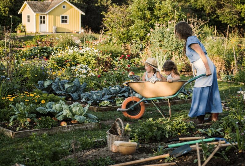 Grow More from Less: Small-Property Permaculture Ideas
