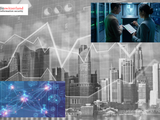 Sichere IT-Systeme in der Schweiz: Expertenaudit für Informationssicherheit