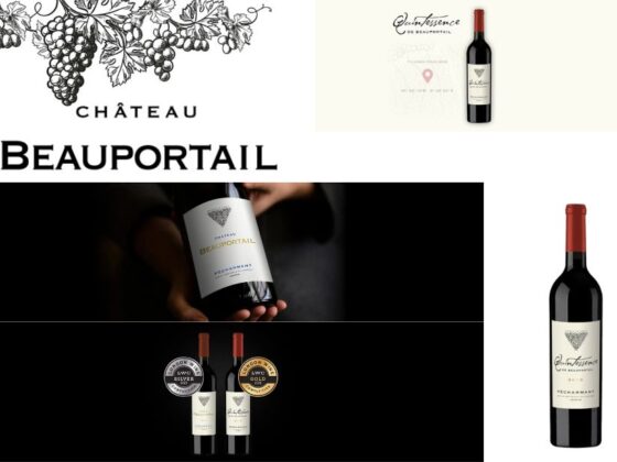 Voyage sensoriel au cœur des vignobles emblématiques de France