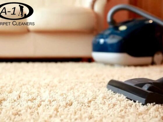 Trusted Mississippi Water Damage Restoration Experts for Fast Recovery