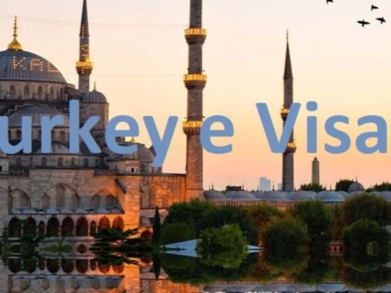 Turkish E-Visa Guide: Quick, Hassle-Free Entry to Turkey