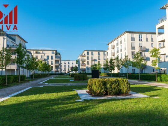 Expert Structural Assessments for Florida Buildings