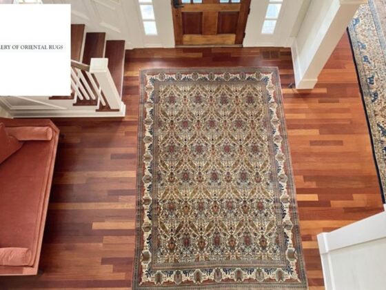 Expert Rug Cleaning Services in Wilmington Area