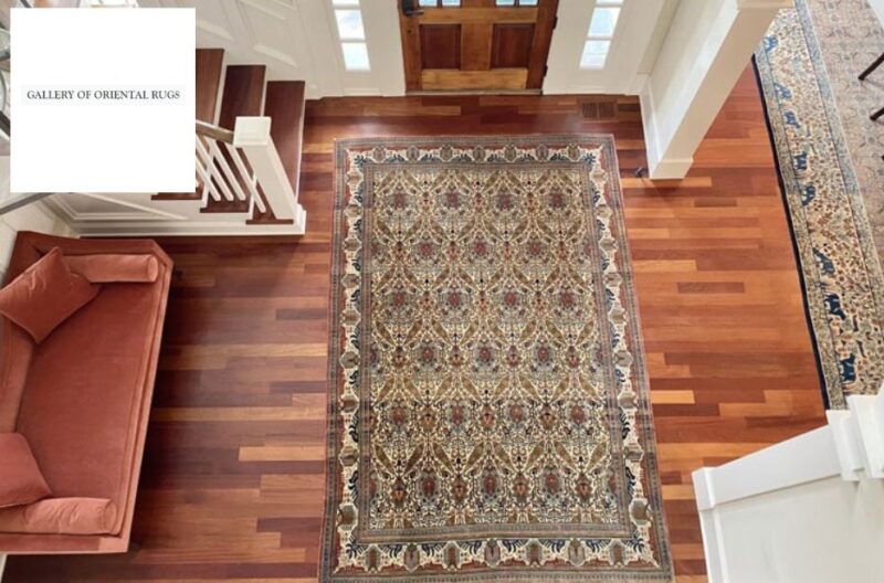 Expert Rug Cleaning Services in Wilmington Area