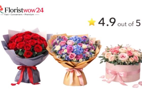 A Romantic Red Rose Box: Elegant Gift for Any Occasion