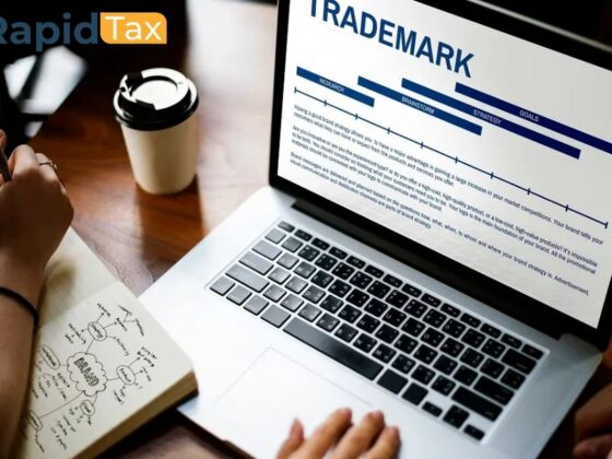 Efficient GST Returns: Expert Filing Support for Your Business