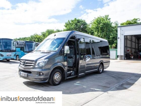 Explore the Minibus Forest of Dean: A Scenic UK Escape