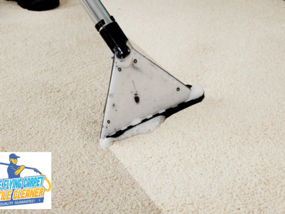 Expert Tile Cleaning Solutions for Perth Homes