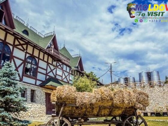 Discover Moldova: Unforgettable City & Rural Tours