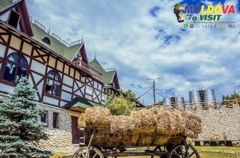 Discover Moldova: Unforgettable City & Rural Tours
