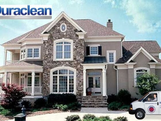 Revive Your Furniture with Expert Cleaning Services in Belvidere