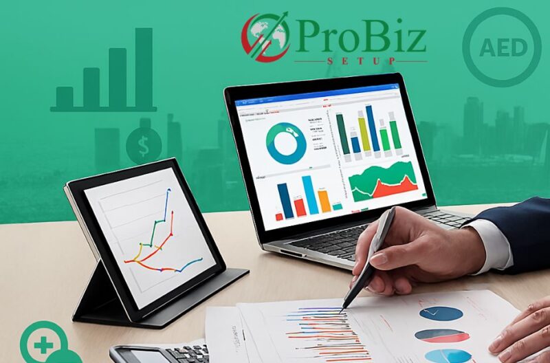 Corporate Tax Solutions for Growing Businesses in the UAE