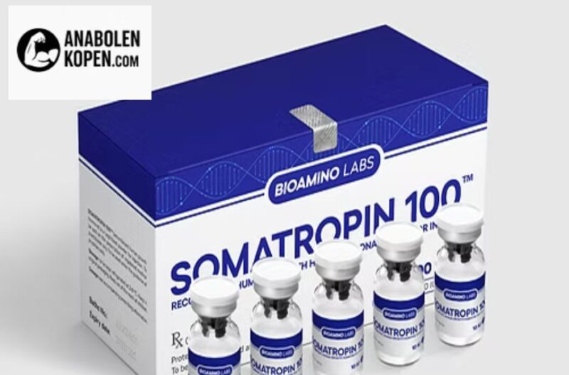 Optimaal spierherstel en zichtbare resultaten – ontdek betrouwbare opties