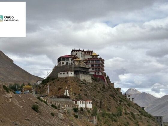 Explore Top Ladakh Group Adventures with Customizable Tours