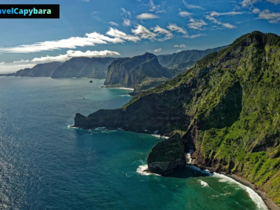 Latest United States Travel Updates for Curious Explorers