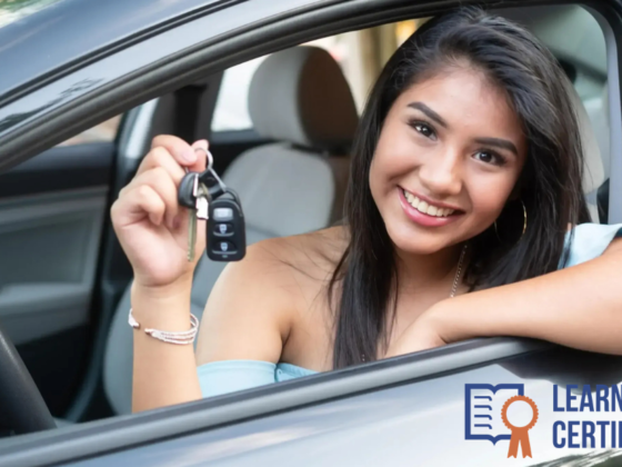 Master Class: Safe Driving for New Learners in California