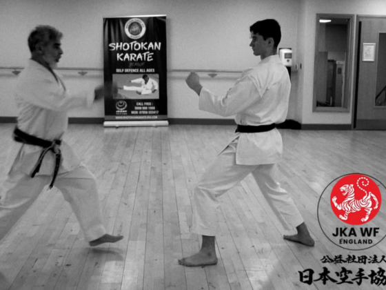 Discovering the Core Values of Karate Training