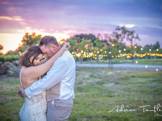 Capture Your Day in Golden Light: Sonoma’s Finest Wedding Moments