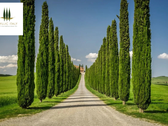 Luxurious Tuscan Retreats: Your Ideal Italian Villa Escape