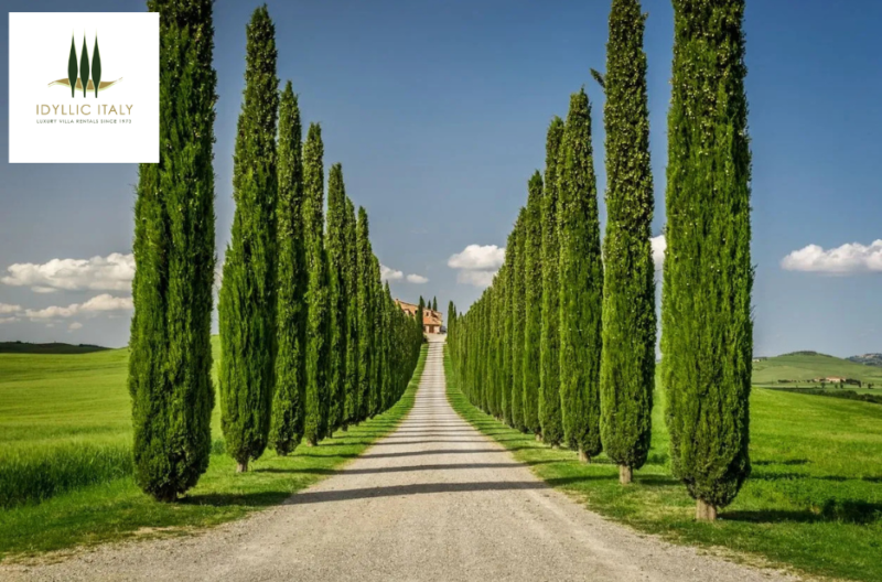 Luxurious Tuscan Retreats: Your Ideal Italian Villa Escape
