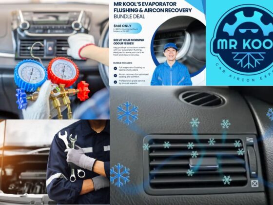 Keep Your Car Cool: Expert Vehicle Air Conditioning Care
