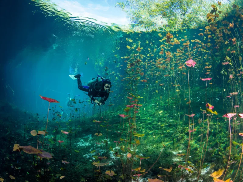 Explore Mexico’s Hidden Caves: Guided Cavern Diving Adventures