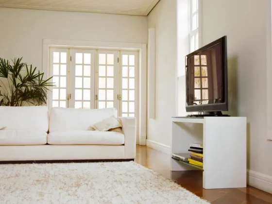 Top Rug Cleaners: Find Your Perfect Clean for Any Space