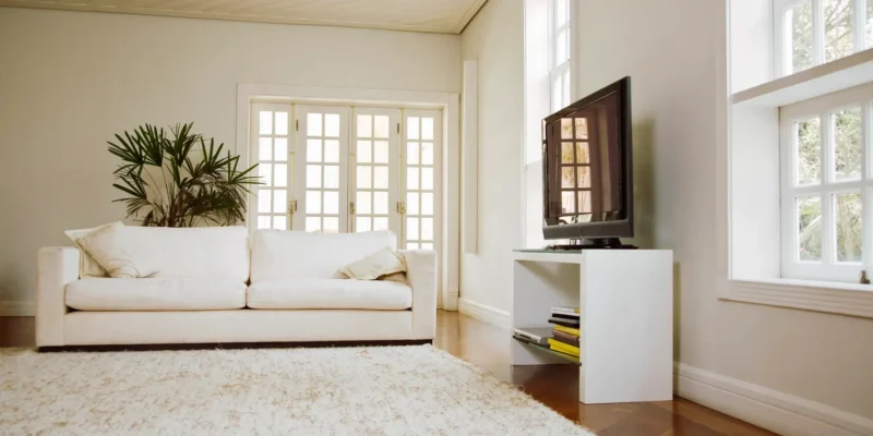 Top Rug Cleaners: Find Your Perfect Clean for Any Space