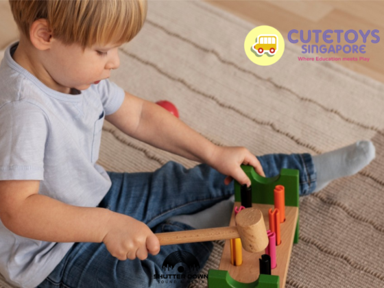 Discover Safe, Stimulating Toys for Your Little One in Singapore