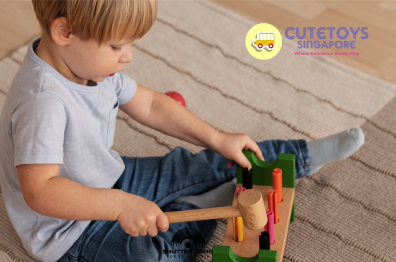 Discover Safe, Stimulating Toys for Your Little One in Singapore