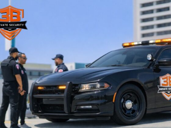 Protective Security Solutions for Greater Los Angeles Properties