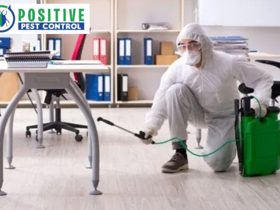 Humane Bee Relocation Experts in Calgary