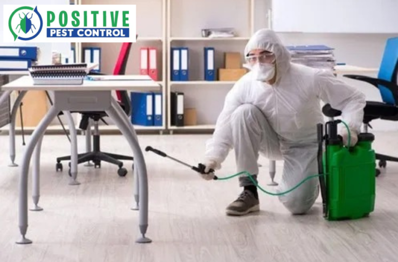 Humane Bee Relocation Experts in Calgary